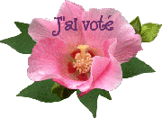 Votes pour " le Meilleur du Web" - juin 2013 1310